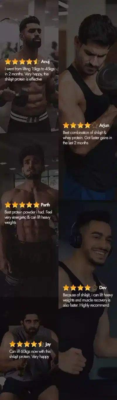 Testofuel Shilajit Whey Protein