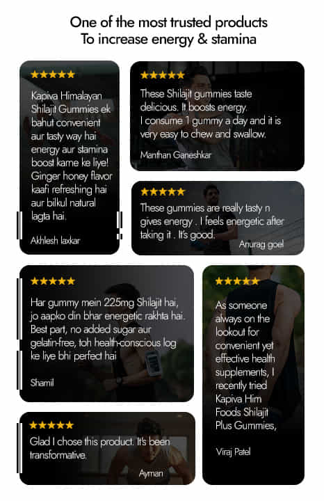 Shilajit Energy Gummies