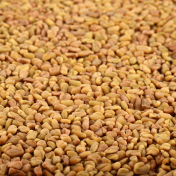 Methi